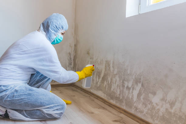Licensed Crawl Space Mold Removal service in Hughesville, MD - WQB Mold Removal